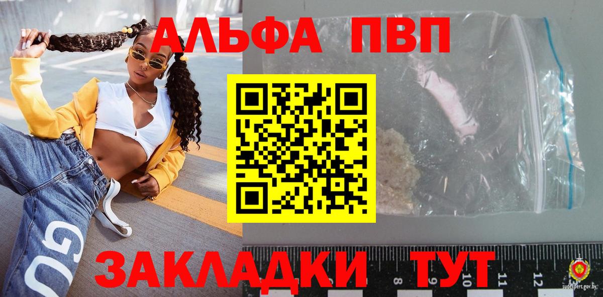 A PVP СК КРИС Новороссийск