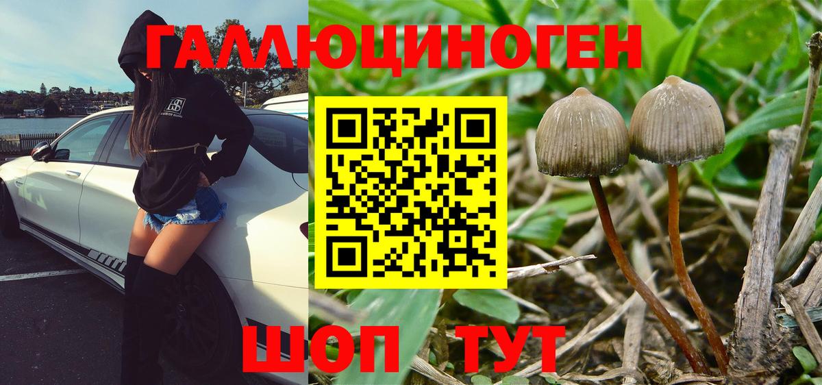 Галлюциногенные грибы Cubensis  Вход с VPN  Галлюциногенные грибы мухоморы  Новороссийск 