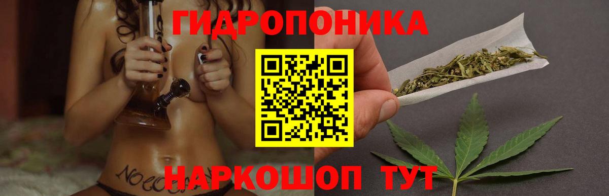Бошки марихуана планчик Новороссийск